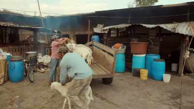 Janet López Canseco's
family farm - Eva Longoria: Searching for Mexico