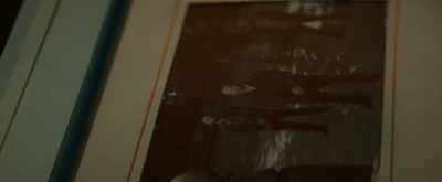 Janine Africa, Charles Sims- - The Inheritance