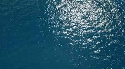 January 12, 2003. - Mysteries of the Deep