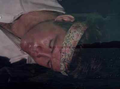 (JAPANESE FLUTE MUSIC) - The Six Million Dollar Man