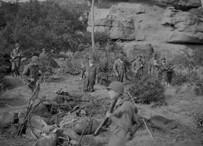 Japs or polecats. - The Fighting Seabees