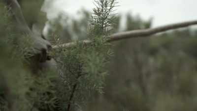 JASON: In this age,
competition over resources - Origins: The Journey of Humankind