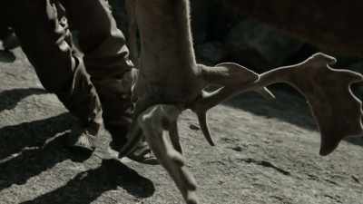 JASON SILVA: A HUNTING
PARTY RETURNS HOME SUCCESSFUL. - Origins: The Journey of Humankind