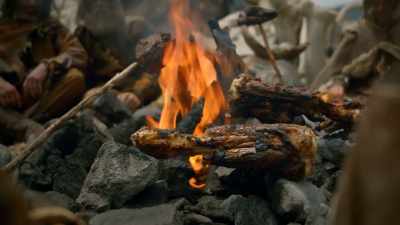 JASON SILVA: WE BEGAN TO
EXPERIMENT WITH FIRE AND TO - Origins: The Journey of Humankind