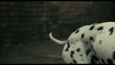 JASPER: Getting anything? - Cruella