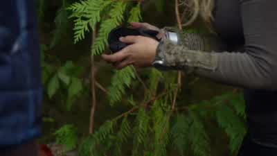 Jasper. - The 100