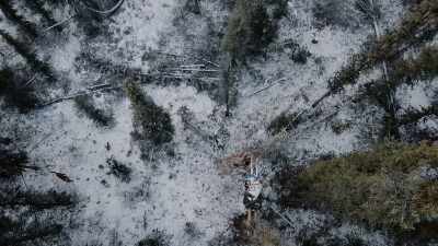 Java! Come here.
Come on. You stay. - Life Below Zero: Next Generation