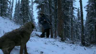 Java, you stay over there, yeah? - Life Below Zero: Next Generation