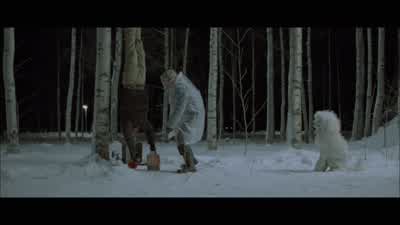 Jävla hund! - Let the Right One In