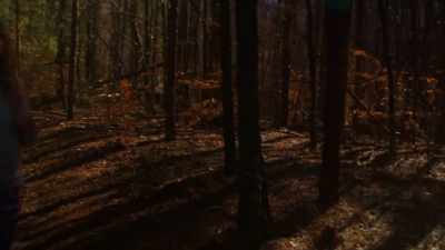 JAY: Let's wait. Let's wait
up. Let's wait. Wait for them. - The Wendigo