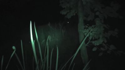        [jay] what is that? - Ghost Adventures