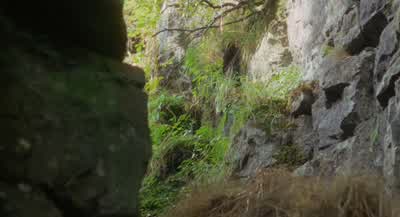 Je tente de les arrêter! - Robin Hood: Prince of Thieves