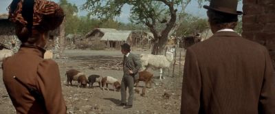 Jeez all Bolivia can't look like this - Butch Cassidy and the Sundance Kid