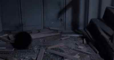 Jeez, these folks
could use a good exterminator. - Critters