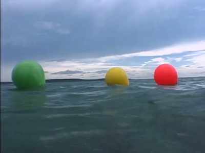              JEFF:              
 Final round, this is it.        - Survivor