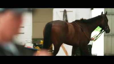 Jeff first had horses
with my dad in the '80s, - Horsepower
