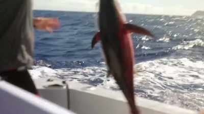 [jeff]
 we have a tradition here - Deadliest Catch: Bloodline