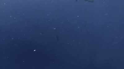 [jeff]  I don't like
 this at all. - Deadliest Catch: Bloodline