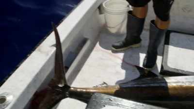 [jeff] that was phil's dream, - Deadliest Catch: Bloodline