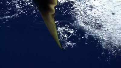 [jeff]  wait, wait, wait...! - Deadliest Catch: Bloodline