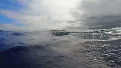 [jeff]  we still need
 about 600 pounds - Deadliest Catch: Bloodline