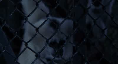 Jeffrey? - 12 Monkeys