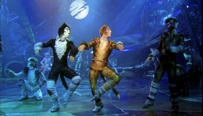Jellicle Cats are roly poly - Cats