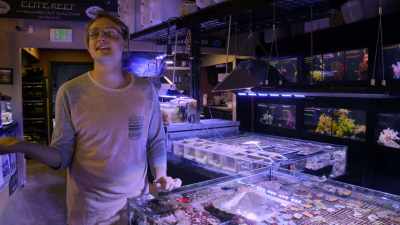 Jellyfish technically live forever,
but they just get eaten by so many things - Chasing Coral