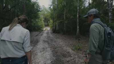 - JEN: There's a few along here.
- CARLTON: Tracks? - Path of the Panther