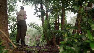 JENN: That was not the storybook ending
that we wanted. - Magic of Disney's Animal Kingdom
