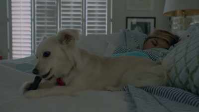 Jennifer Grey had come over
to check on her and said, - Introducing, Selma Blair
