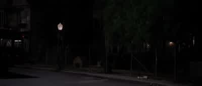 Jenny? There's a phone call for you. - Deep Impact