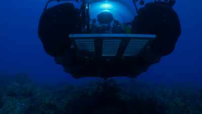 JEREMY JACKSON: I THINK
THIS REEF HAS HAD IT. - Before the Flood
