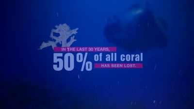JEREMY JACKSON: THE OCEANS ARE
LIKE THIS BIG BUFFER BECAUSE - Before the Flood