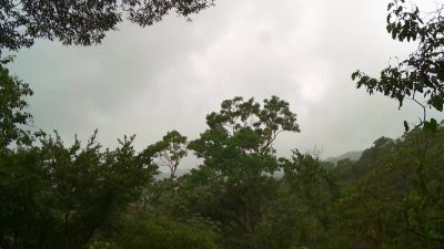       [jeremy] oh, [bleep]. - Naked and Afraid