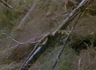 JEREMY:
Take it on up! - The Six Million Dollar Man