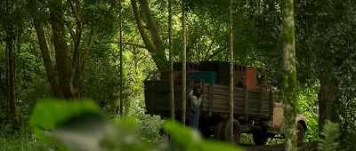 - Jerry, where are you going?
- Stay with Piper. - Yardie