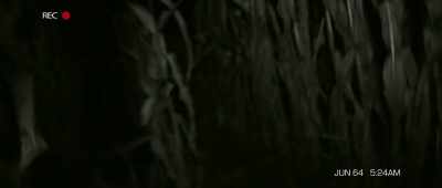 Jess! Jess! Jess! - The Gracefield Incident