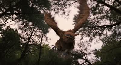 - - - Jess! - Jess! - Bridge to Terabithia