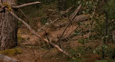 Jess! Leslie! - Jess! - Leslie! - Bridge to Terabithia