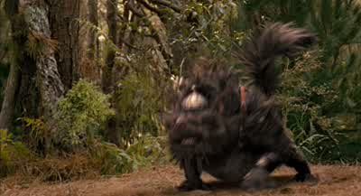 - - Jess! - Bridge to Terabithia