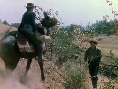 Jesse
- They killed him! - The Return of Frank James