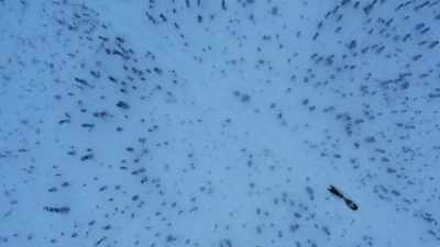 JESSI: As time goes on,
Chris and I are really - Life Below Zero: Next Generation