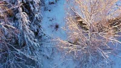 JESSI: Chris and I have
made a sled from wood before, - Life Below Zero: Next Generation