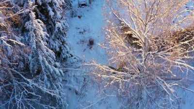 JESSI: Cosna good?
CHRIS: Cosna good. - Life Below Zero: Next Generation