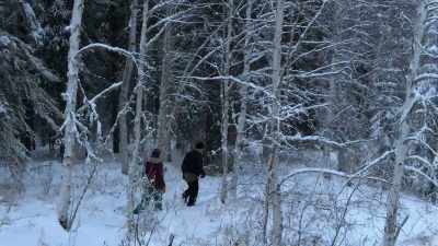 JESSI: Like, I have everything
out here, except for the studio. - Life Below Zero: Next Generation