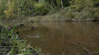 JESSI: That eddy is a
current, actually going up, - Life Below Zero: Next Generation