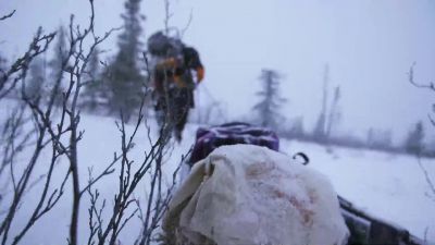 JESSI: With the storm coming through - Life Below Zero: Next Generation