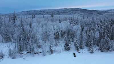 JESSI: Yesterday we
put the air strip in, - Life Below Zero: Next Generation