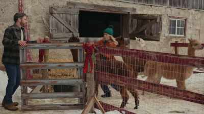 (Jessica yelps)
- Okay, okay, okay. - Christmas on the Alpaca Farm